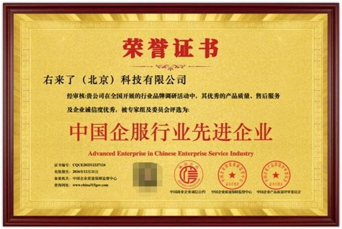 右來了科技榮獲“中國(guó)企服行業(yè)先進(jìn)企業(yè)”稱號(hào)，彰顯信息系統(tǒng)集成服務(wù)卓越實(shí)力